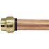 Tectite 3/4 in. Brass Push-to-Connect Cap