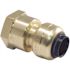 Tectite 3/8 in. (1/2 in. ) Brass Push-To-Connect x 1/2 in. Female Pipe Thread Reducing Adapter