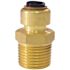 Tectite 1/4 in. (3/8 in. ) Brass Push-To-Connect x 1/2 in. Male Pipe Thread Reducing Adapter