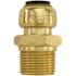 Tectite 1/2 in. Brass Push-to-Connect x 3/4 in. Male Pipe Thread Reducing Adapter