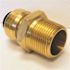 Tectite 1/2 in. Brass Push-to-Connect x 3/4 in. Male Pipe Thread Reducing Adapter