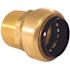 Tectite 1 in. Brass Push-to-Connect x Male Pipe Thread Adapter