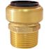 Tectite 1 in. Brass Push-to-Connect x Male Pipe Thread Adapter