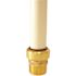 Tectite 1 in. Brass Push-to-Connect x Male Pipe Thread Adapter