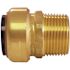 Tectite 1 in. Brass Push-to-Connect x Male Pipe Thread Adapter