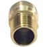 Tectite 3/4 in. Brass Push-to-Connect x Male Pipe Thread Adapter
