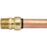 Tectite 3/4 in. Brass Push-to-Connect x Male Pipe Thread Adapter