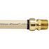 Tectite 3/4 in. Brass Push-to-Connect x Male Pipe Thread Adapter