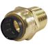 Tectite 1/2 in. Brass Push-to-Connect x Male Pipe Thread Adapter