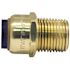 Tectite 1/2 in. Brass Push-to-Connect x Male Pipe Thread Adapter