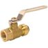 Tectite 1/2 in. Brass Push-to-Connect x Female Pipe Thread Ball Valve