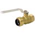 Tectite 3/4 in. Brass Push-to-Connect x Female Pipe Thread Ball Valve