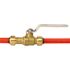 Tectite 1/2 in. Brass Push-to-Connect Slip Ball Valve