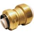 Tectite 1 in. IPS x 1 in. CTS Brass Push-to-Connect Conversion Coupling