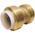 Tectite 1 in. IPS x 1 in. CTS Brass Push-to-Connect Conversion Coupling