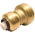 Tectite 1/2 in. IPS x 1/2 in. CTS Brass Push-to-Connect Conversion Coupling