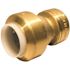 Tectite 1/2 in. IPS x 1/2 in. CTS Brass Push-to-Connect Conversion Coupling