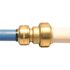 Tectite 1/2 in. IPS x 1/2 in. CTS Brass Push-to-Connect Conversion Coupling