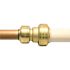 Tectite 1/2 in. IPS x 1/2 in. CTS Brass Push-to-Connect Conversion Coupling