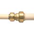 Tectite 1/2 in. IPS x 1/2 in. CTS Brass Push-to-Connect Conversion Coupling