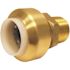 Tectite 1/2 in. IPS Push-To-Connect x 1/2 in. CTS Brass Male Pipe Thread Adapter