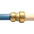 Tectite 3/4 in. IPS x 3/4 in. CTS Brass Push-to-Connect Conversion Coupling