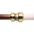 Tectite 3/4 in. IPS x 3/4 in. CTS Brass Push-to-Connect Conversion Coupling