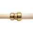 Tectite 3/4 in. IPS x 3/4 in. CTS Brass Push-to-Connect Conversion Coupling
