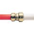 Tectite 3/4 in. IPS x 3/4 in. CTS Brass Push-to-Connect Conversion Coupling