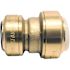 Tectite 3/4 in. IPS x 3/4 in. CTS Brass Push-to-Connect Conversion Coupling