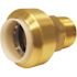 Tectite 3/4 in. Brass Push-To-Connect PVC IPS x 3/4 in. Male Pipe Thread Adapter