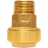 Tectite 3/4 in. Brass Push-To-Connect PVC IPS x 3/4 in. Male Pipe Thread Adapter