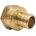 Apollo 1 in. Brass PEX-B Barb x 1 in. Female Pipe Thread Adapter