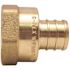 Apollo 1 in. Brass PEX-B Barb x 1 in. Female Pipe Thread Adapter