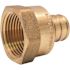 Apollo 1 in. Brass PEX-B Barb x 1 in. Female Pipe Thread Adapter