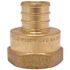 Apollo 1 in. Brass PEX-B Barb x 1 in. Female Pipe Thread Adapter