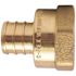 Apollo 1 in. Brass PEX-B Barb x 1 in. Female Pipe Thread Adapter