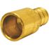 Apollo 1/2 in. Brass PEX-B Barb x Male Copper Sweat Adapter (10-Pack)