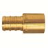 Apollo 1/2 in. Brass PEX-B Barb x Male Copper Sweat Adapter (10-Pack)