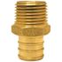 Apollo 3/4 in. Brass PEX-B Barb x 1/2 in. Male Pipe Thread Reducing Adapter