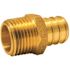 Apollo 3/4 in. Brass PEX-B Barb x 1/2 in. Male Pipe Thread Reducing Adapter