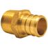 Apollo 3/4 in. Brass PEX-B Barb x 1/2 in. Male Pipe Thread Reducing Adapter