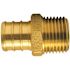 Apollo 3/4 in. Brass PEX-B Barb x 1/2 in. Male Pipe Thread Reducing Adapter