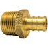 Apollo 1/2 in. Brass PEX-B Barb x 1/2 in. Male Pipe Thread Adapter (5-Pack)