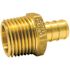 Apollo 1/2 in. Brass PEX-B Barb x 1/2 in. Male Pipe Thread Adapter (5-Pack)