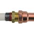 Apollo 1/2 in. Brass PEX-B Barb x 1/2 in. Male Pipe Thread Adapter (5-Pack)