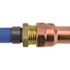 Apollo 1/2 in. Brass PEX-B Barb x 1/2 in. Male Pipe Thread Adapter (5-Pack)