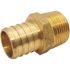 Apollo 1 in. Brass PEX-B Barb x 3/4 in. Male Pipe Thread Reducing Adapter