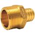 Apollo 1 in. Brass PEX-B Barb x 3/4 in. Male Pipe Thread Reducing Adapter