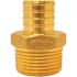 Apollo 1 in. Brass PEX-B Barb x 3/4 in. Male Pipe Thread Reducing Adapter